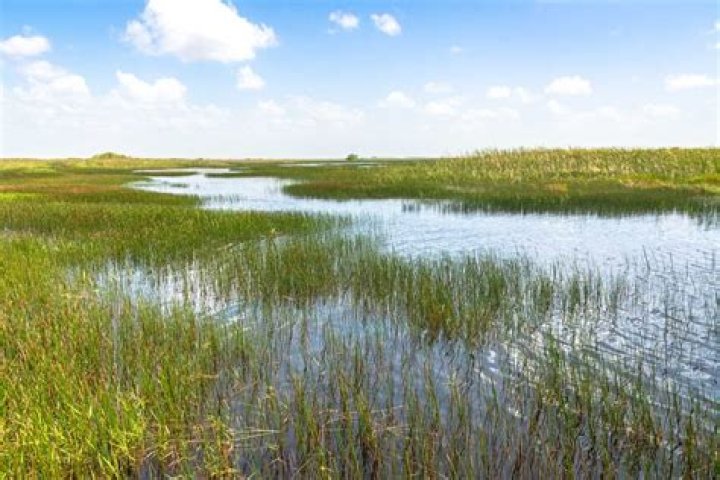 	Phil Latzman: South Florida trying hard to catch up on rising seas	