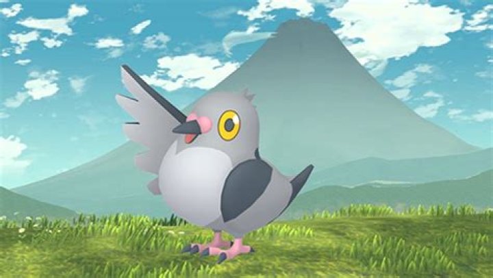 Pidove Pokemon GO: How to Catch