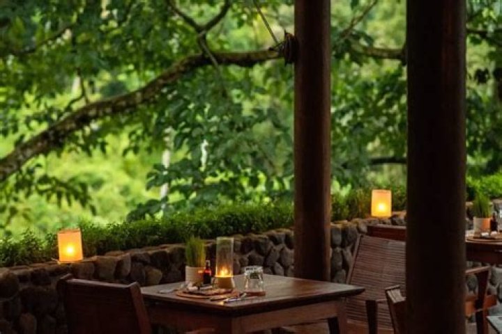 	PLANTATION RESTAURANT TO OPEN WITH NEW LOOK	