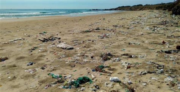 Plex User Data Leak, Nintendo Switch Online Expansion Pack, and Apps to Keep Coastlines Clean