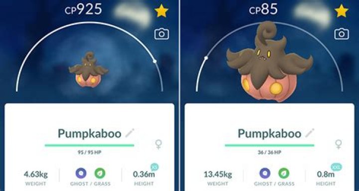 Pokémon Go Pumpkaboo Collection Challenge guide