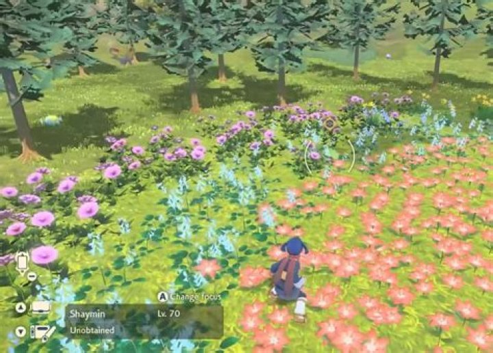 Pokemon Legends Arceus: How to Catch Shaymin (‘A Token of Gratitude’ Request)
