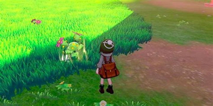 Pokemon Sword & Shield: What Brilliant Aura Is