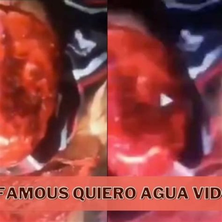 Quiero Agua Video: Understanding The Viral Trend And Its Impact
