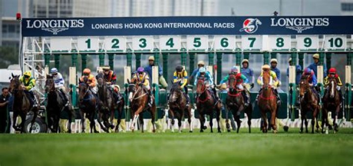 Race Result | 12 Jan 2019 | Sha Tin | Race 7 SUN WUI HANDICAP | HK Racing