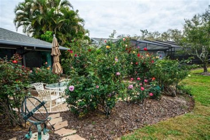 	RAISING ROSES IN SOUTH FLORIDA	