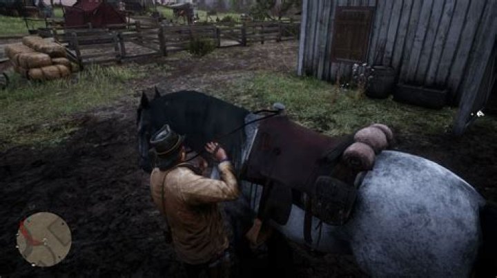 Red Dead Redemption 2 Horse Bonding Guide: How to Increase Bond With Your Horse