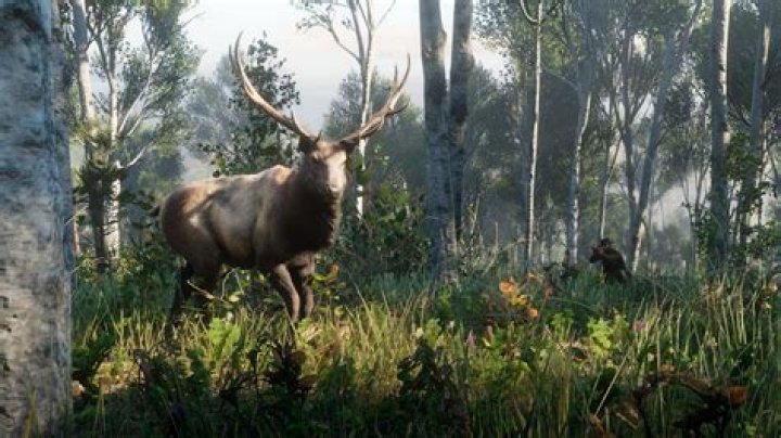 Red Dead Redemption 2: How to Get Perfect Pelts for Every Animal & What They Do