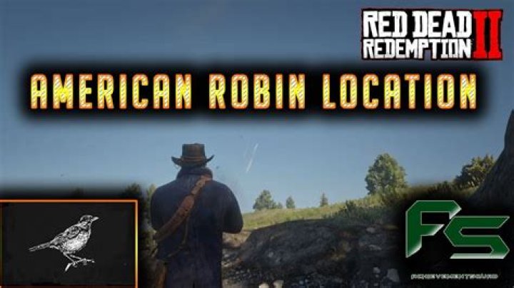 Red Dead Redemption 2 Robin Location PC