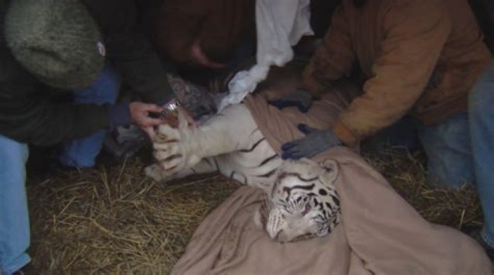 Retired trooper dedicates life to rescuing exotic animals