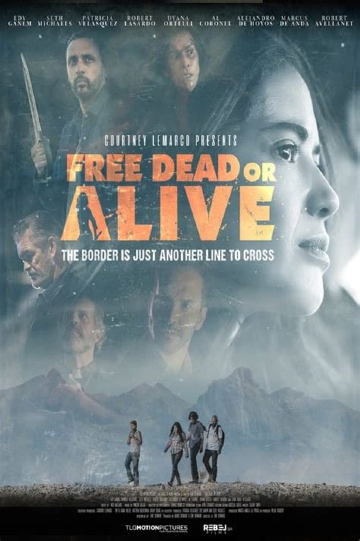Rewatching the Awful Dead or Alive Movie in Awful 2020