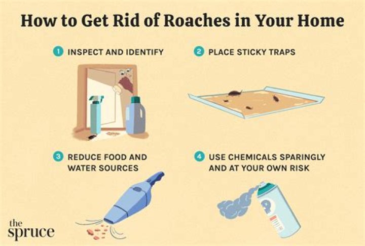 	ROACHES	