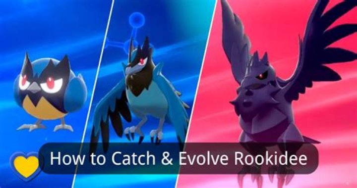 Rookidee Evolution, Location, Stats: Pokemon Sword and Shield: