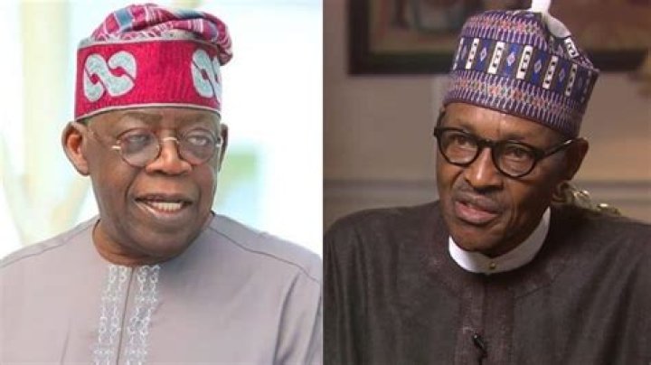 Sam Omatseye, Tinubu's Chief Propagandist
