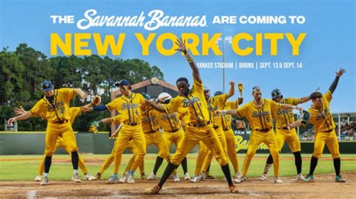 Savannah Bananas Net Worth 2024