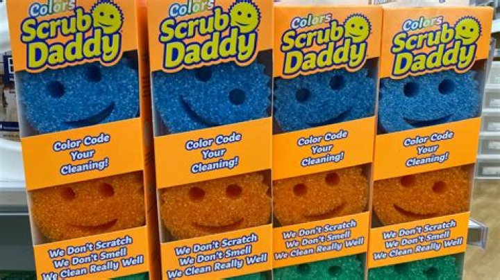 Scrub Daddy Net Worth 2024