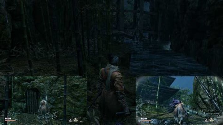 Sekiro: How to Get Mist Raven Feathers & What They’re Used For