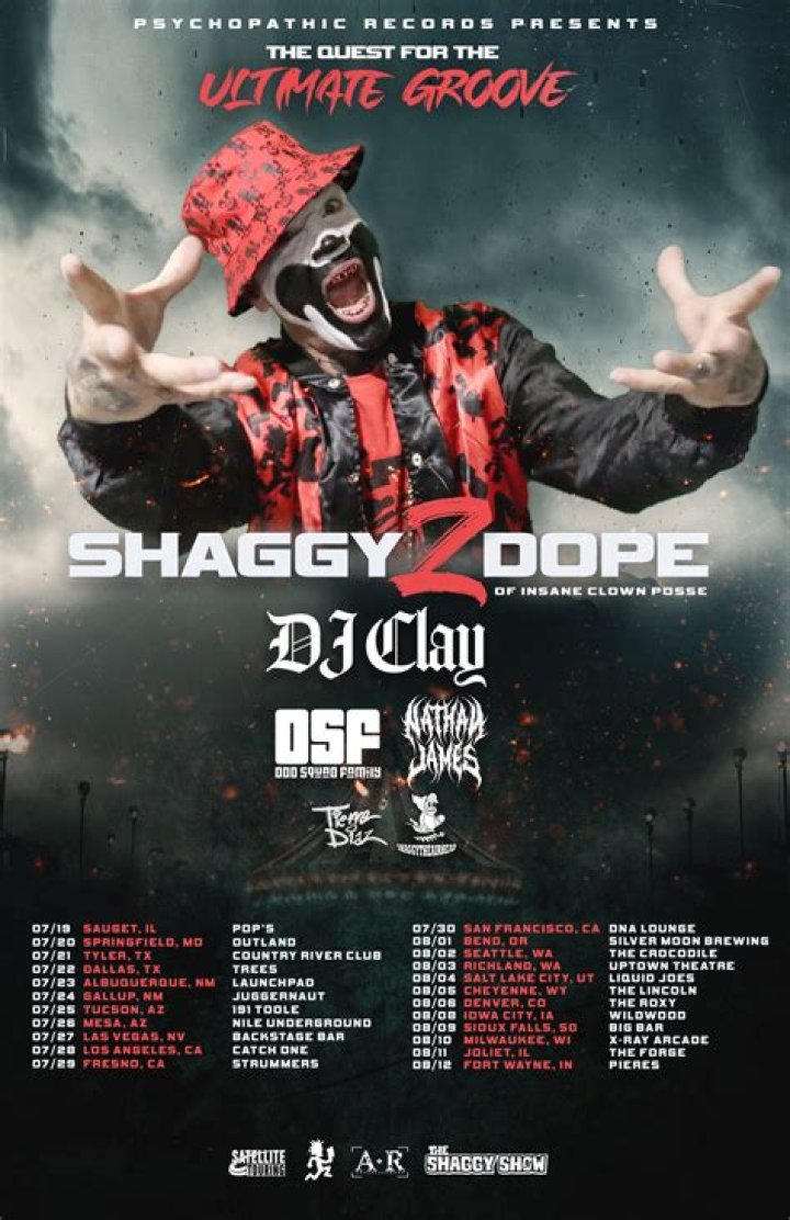 Shaggy 2 Dope Net Worth 2024