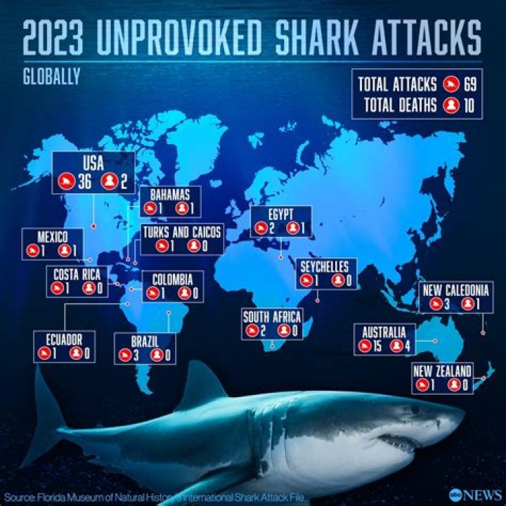 	SHARK ATTACKS NOTHING UNUSUAL	