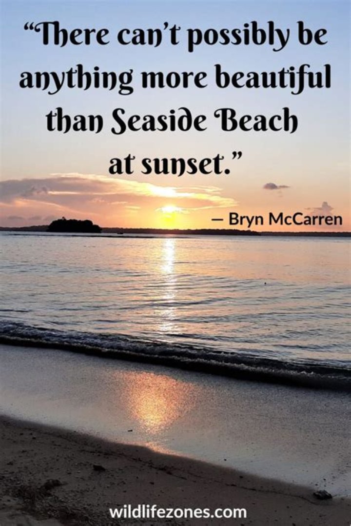 Short Beach Quotes: Inspiring Words For Your Ocean Getaway