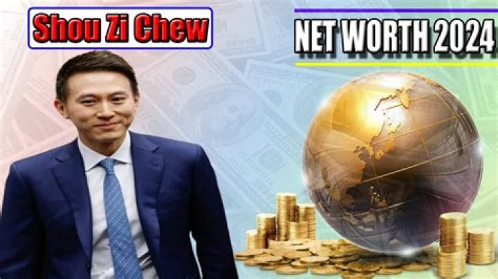 Shou Zi Chew Net Worth 2024