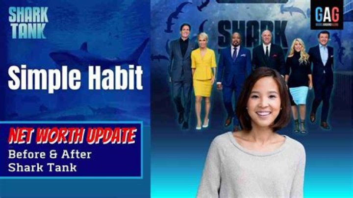 Simple Habit Net Worth 2024