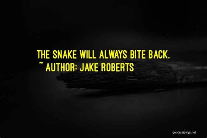 	SNAKE IS ALWAYS A SNAKE	