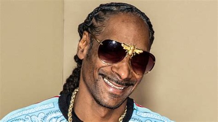 Snoop Dogg's Criminal Record: A Comprehensive Overview