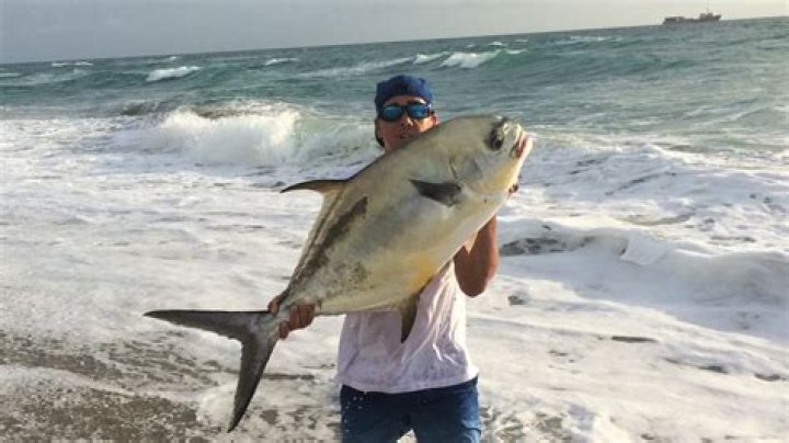 	South Florida fishing report	