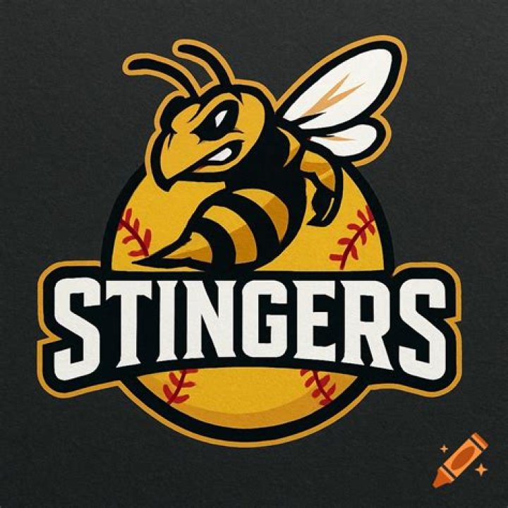 	STINGERS SOFTBALL	