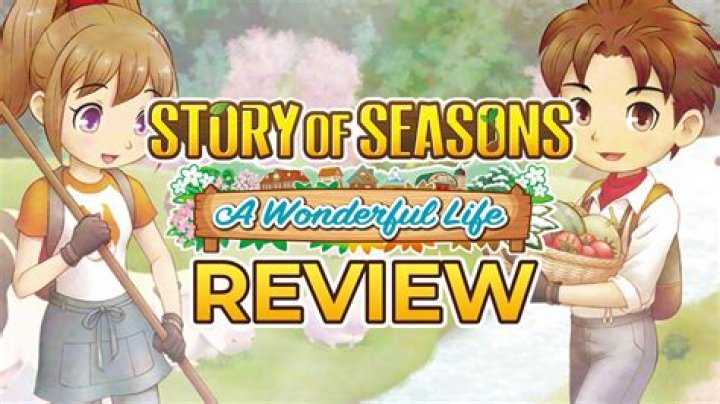 Story of Seasons: A Wonderful Life Review