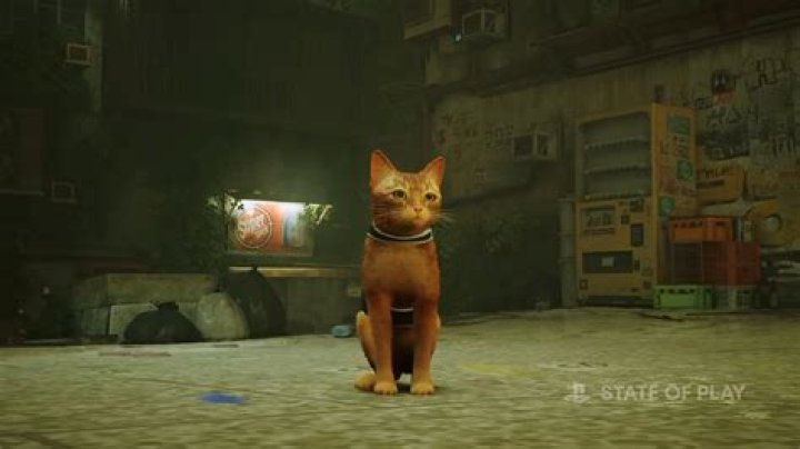 Stray Gets New Gameplay Trailer and July Release Date
