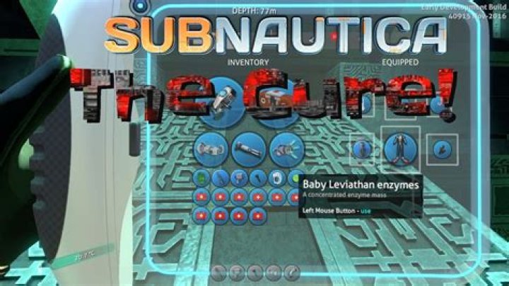 Subnautica: What the Cure Command Is