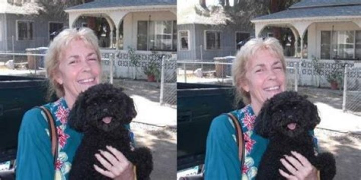 Susy Pugh: What Happened To Zachary Levi's Mother?