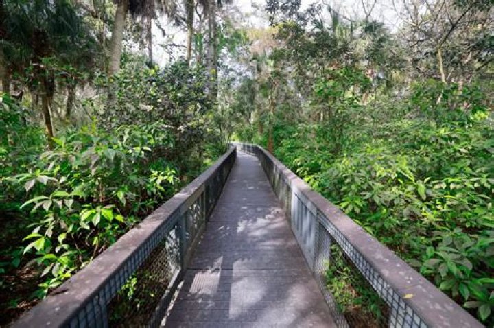 	Tall Cypress Nature Area in Coral Springs is a quiet escape | PHOTOS	