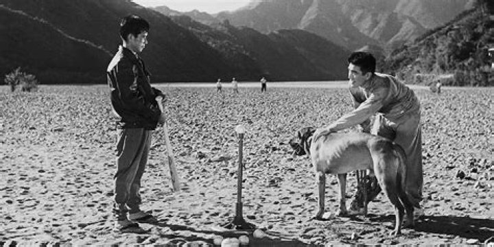 The 10 Best Masaki Kobayashi Movies, Ranked