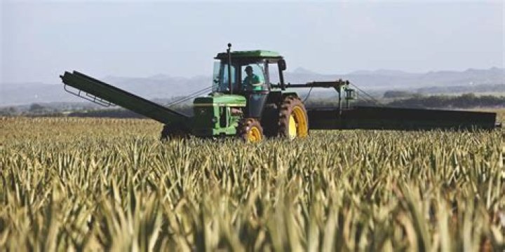 The 5 Best Farming Games on Android and iPhone
