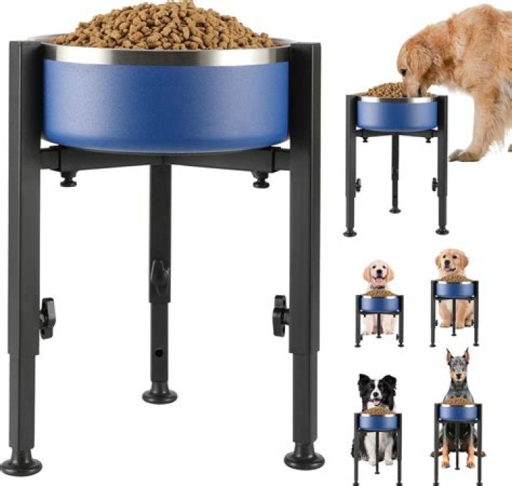 	The best elevated dog bowl	