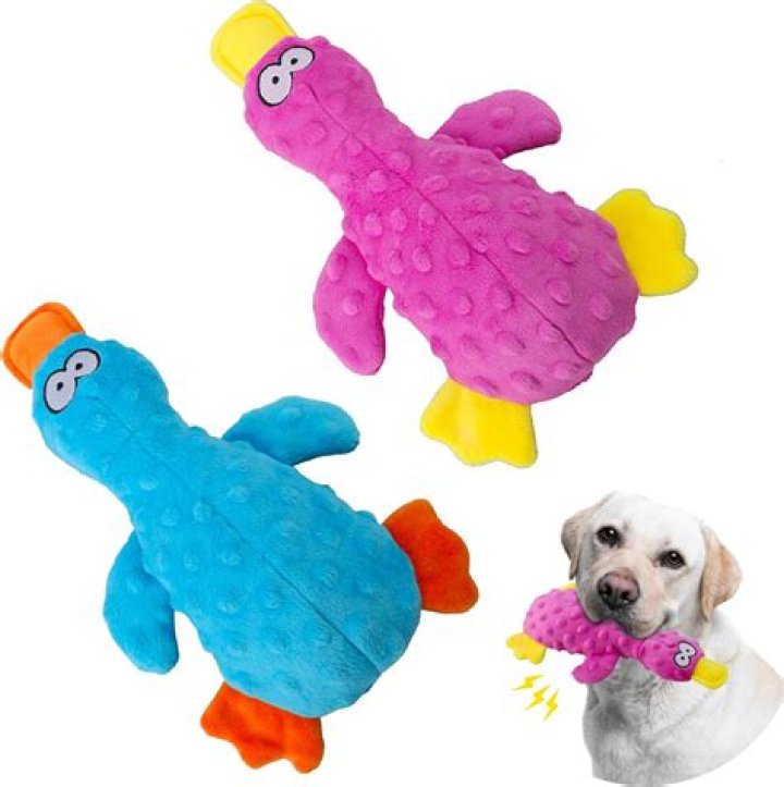 	The best squeaky toy for dogs	