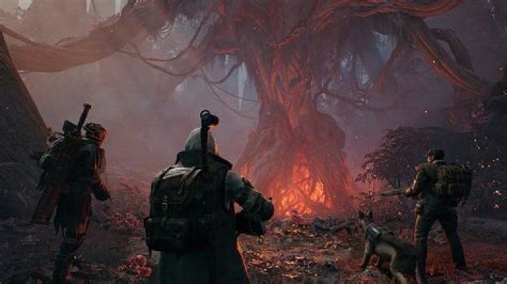 The Doe’s Eyes vs the Ravager’s Eyes 