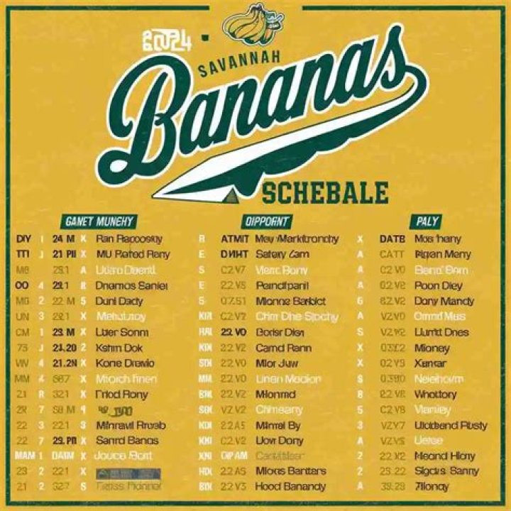 The Intriguing World Of Savannah Bananas Players Salary Per Year