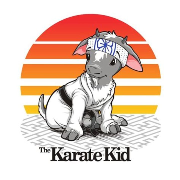 The Karate Kid: A Guide to Monk/Druid Multiclassing