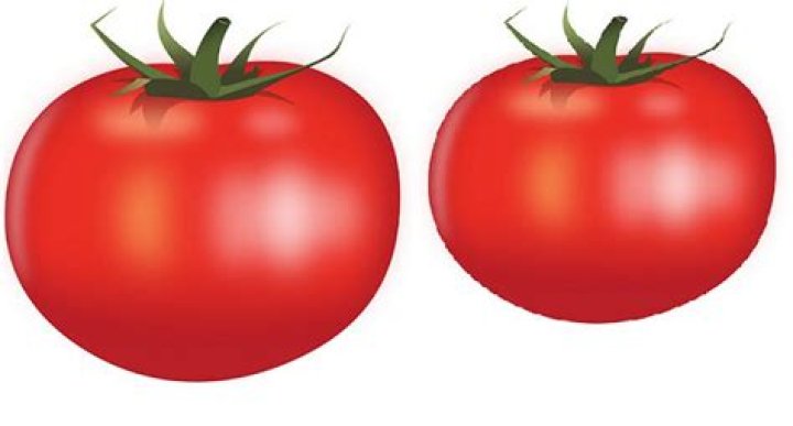 The Sims 4: Where to Find Tomatoes