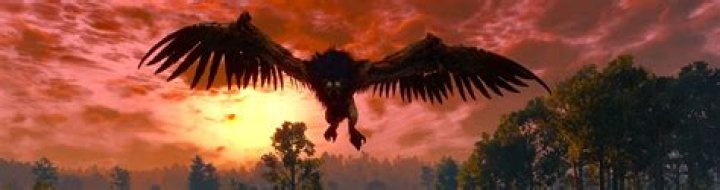 The Witcher 3: How to Beat the Royal Griffin
