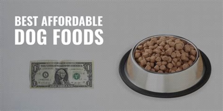 	These affordable dog foods are ideal for pet owners on a budget	