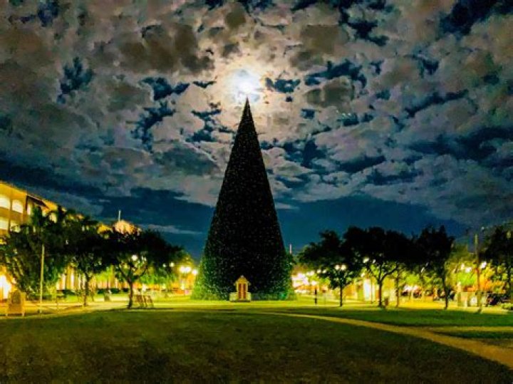 	Thinking About Attending the Tree Lighting in Delray? Check this out.	