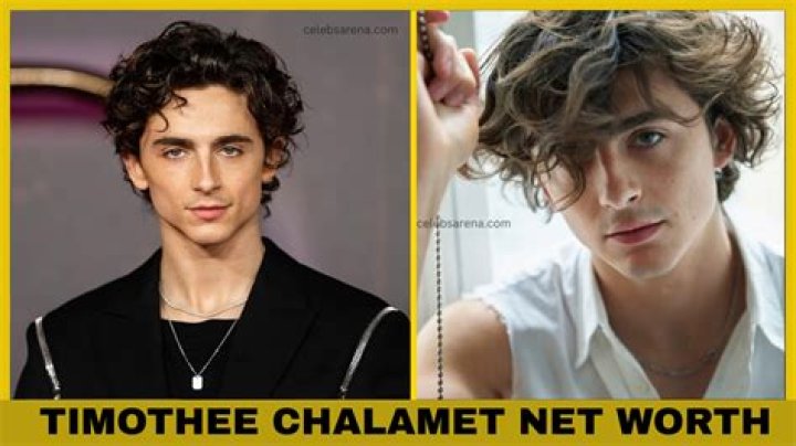Timothee Chalamet Net Worth: Biography, Career And Income
