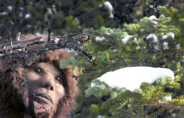 Todd Standing Wikipedia, Biography, Age, Parents, Bio【 Bigfoot 】Wiki