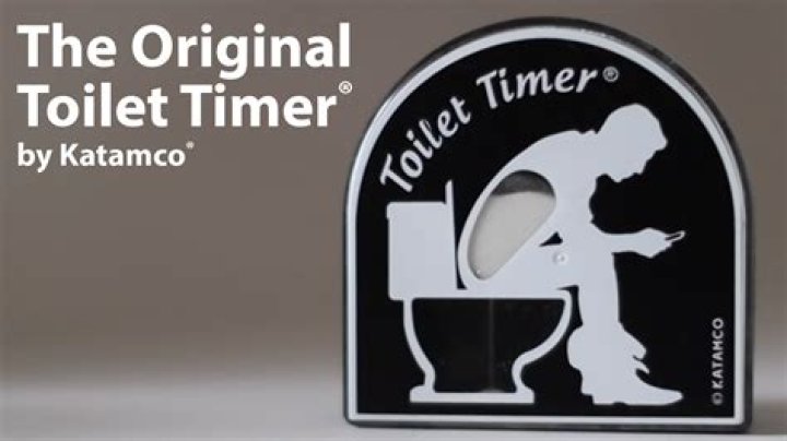 Toilet Timer Net Worth 2024