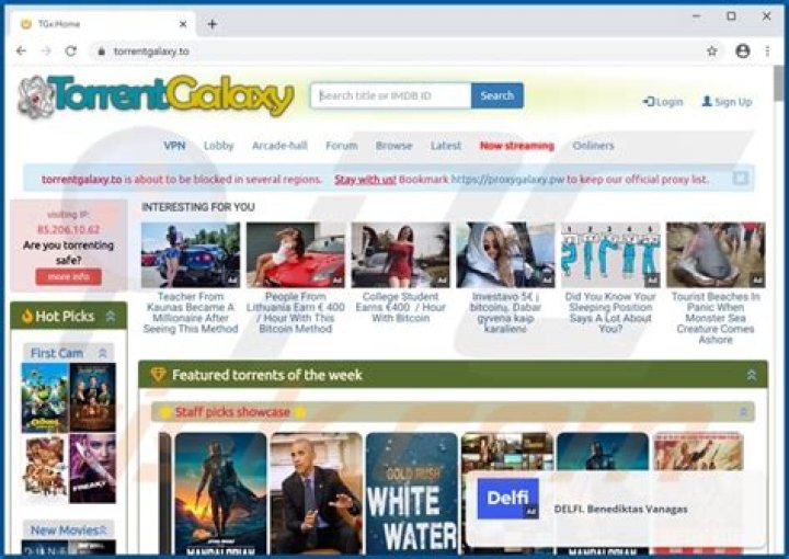 torrentgalaxy.org login safely, analysis & comments